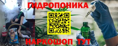 прущие крисы Будённовск