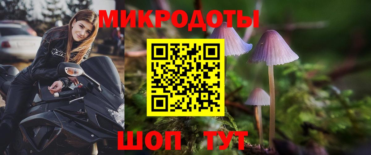 Псилоцибиновые грибы Cubensis  Галлюциногенные грибы Psilocybine cubensis  Одинцово  Вход с VPN 